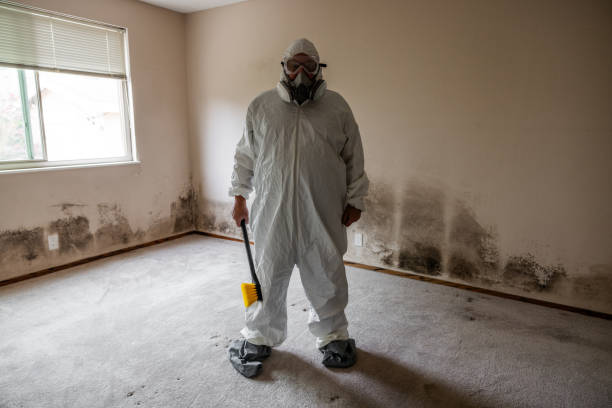 Trusted Riverton, WY Mold Removal Experts