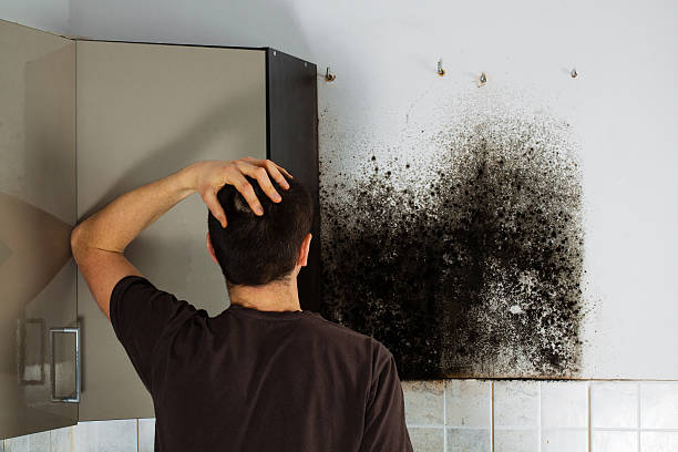 Best Water Damage Restoration  in Riverton, WY