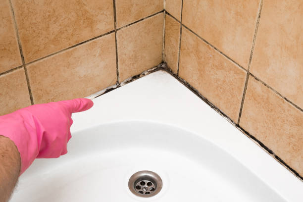 Best Crawl Space Mold Removal  in Riverton, WY